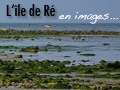 ile-de-re