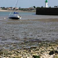 Plaisance sur l'île de Ré